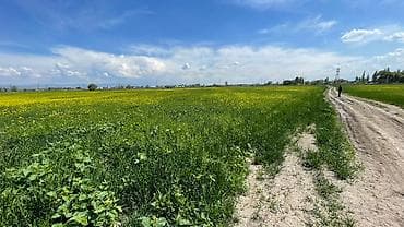 Недвижимость: 957 соток, Для бизнеса, Договор купли-продажи — 2