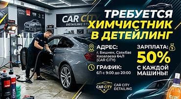 щетки для химчистки: Требуется Детейлер - Химчистка, Процент от дохода — 1