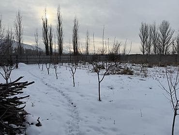 жер тилкелер: 11 соток, Бизнес үчүн, Кызыл китеп, Сатып алуу-сатуу келишими — 1