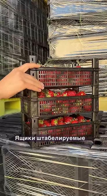 мешок для товара: Пластиковый Ящик, Новый — 5