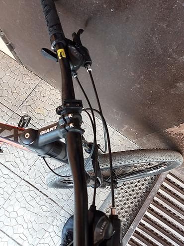 Пластик эшиктер: Велосипед giant — 10