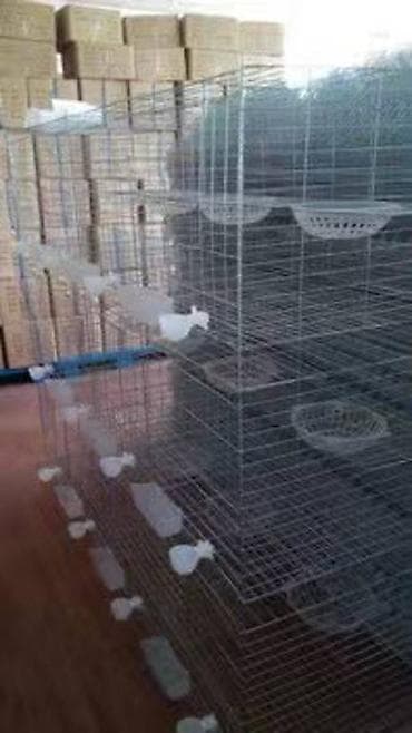 Клетки для голубей