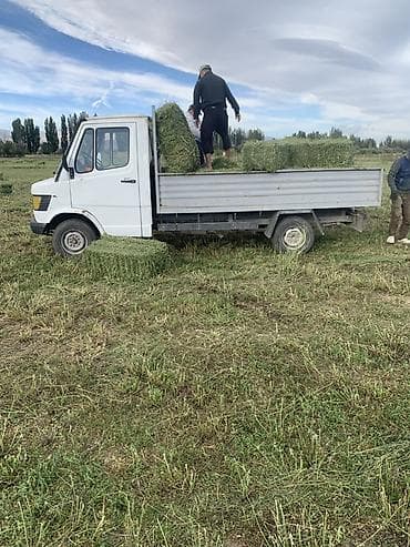 w221 221 в221: Легкий грузовик, Mercedes-Benz, Стандарт — 2