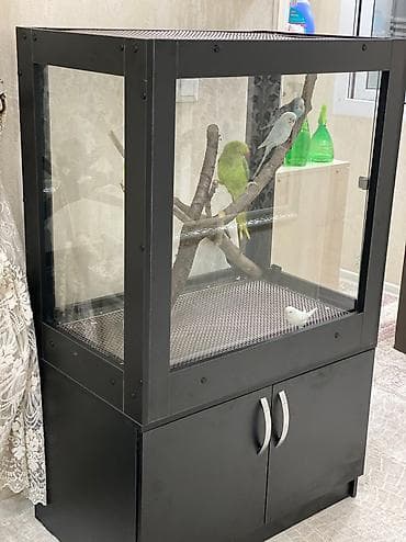 аквариум с тумбой: Террариум для попугаев и животных( аквариум) — 4