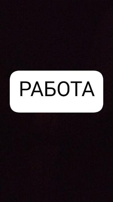 рабочый городок: Здравствуйте. Ищу работу или подработку в Токмаке. Я новичок, опыта — 1