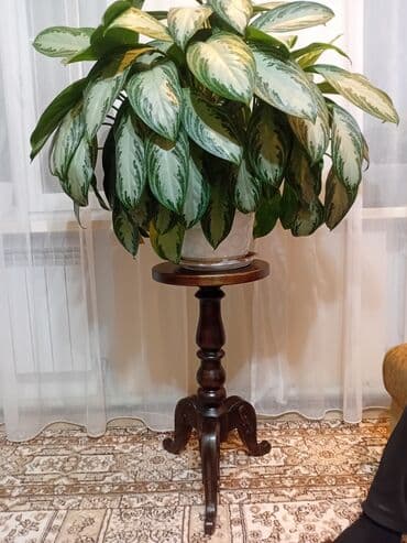 сдам дом: Деревянная лестница Для дома, Вид дерева: Дуб, Форма лестницы: Г-образная, Стиль: Классический — 18