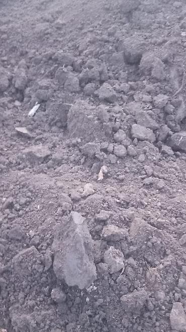 почвы: В тоннах, Самовывоз, Бесплатная доставка, Платная доставка, Зил — 3