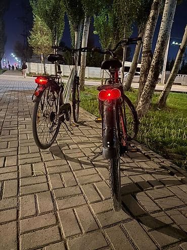 forward apache: Пегасус чистокровный немец. шикарный вариант для городских прогулок — 4