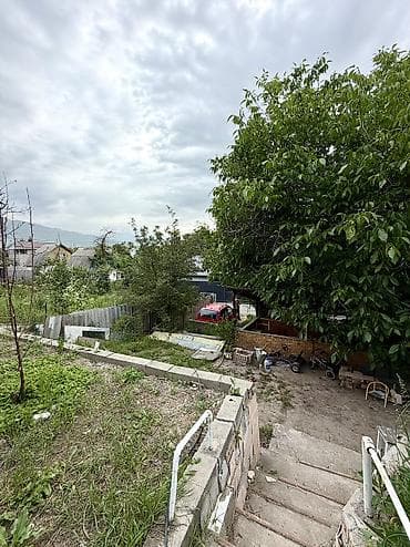участок жар баши: 5 соток, Красная книга — 4