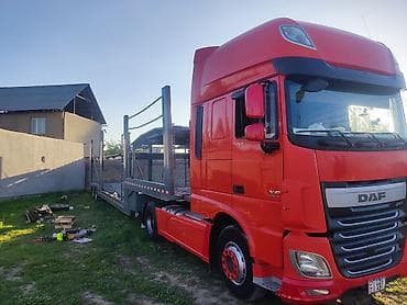 собаки овчарка: Прицеп, DAF, Автовоз — 1