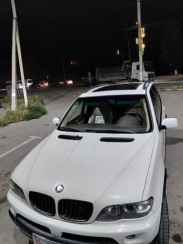 кросс фит: BMW X5: 2005 г., 4.8 л, Автомат, Бензин, Кроссовер — 4