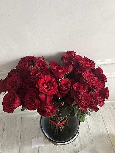 лепестки роз: Букет из красных роз - Классические красные розы с крупными, плотными — 1