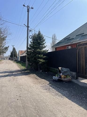 бишкек отун: Карагай — 4