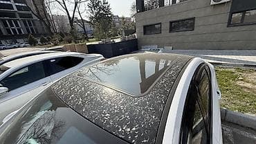 dodge challenger: Chery : 2023 г., 1.6 л, Робот, Бензин, Седан — 6