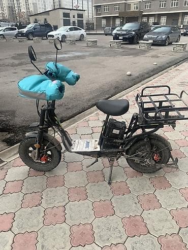 Электро велосипед Арендага Selega ( воскресенье выходной менен)