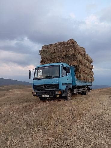 мтз запчасти: Mercedes-Benz : 1997 г., 6 л, Механика, Дизель, Универсал — 1