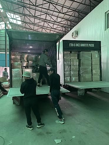 daf 75: Заказать Мерседес грузовой спринтер, Перевозка мебели, С прицепом — 4