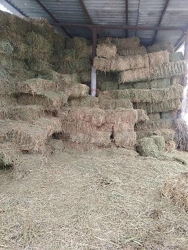 Продаю тюки клевер по 430 сом только звонить на смс не отвечаем