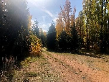Жер тилкелери: 1000 соток, Кызыл китеп — 3