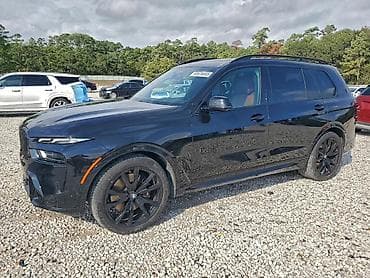 BMW X7: 2023 г., Внедорожник