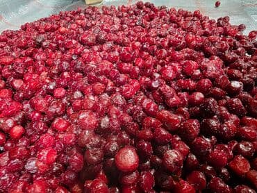 продаю чайники: Замороженная вишня с косточкой и без косточек . Описание: - Цельные — 2