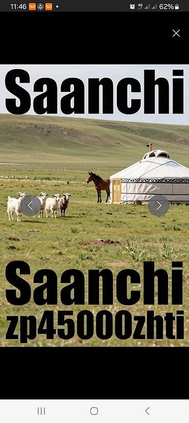 Требуется Доярка, Оплата: Ежемесячно, Официальное трудоустройство at lalafo.kg Требуется Доярка, Оплата: Ежемесячно, Официальное трудоустройство