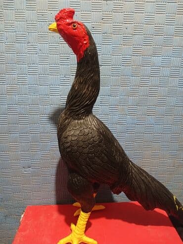 Груша резиновая для тренировки Бойцового петуха! Дакан Шамо Хинт at lalafo.kg Груша резиновая для тренировки Бойцового петуха! Дакан Шамо Хинт