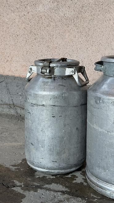 Емкости: Канистра Самовывоз — 2