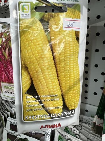 продаю овощи: Уруктар жашылчалардын: Капуста, Сабиз, Калемпирлер, Өзү алып кетүү, Акылуу жеткирүү — 4