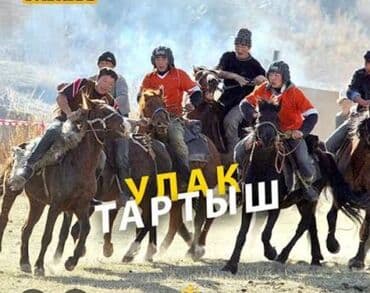 настольный теннис обучение бишкек: Жер Улак, Аламан ойунун ойногонго Аттар арендага берилет, саатына 1500 — 1