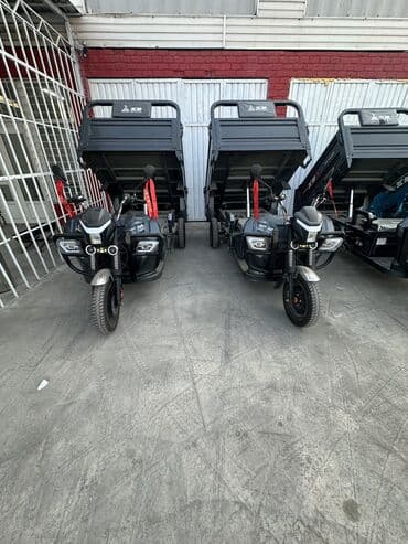 кофры для мотоцикла: Легкий грузовик — 4