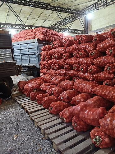 Декор жана интерьер: Пияз Дүңүнөн — 3