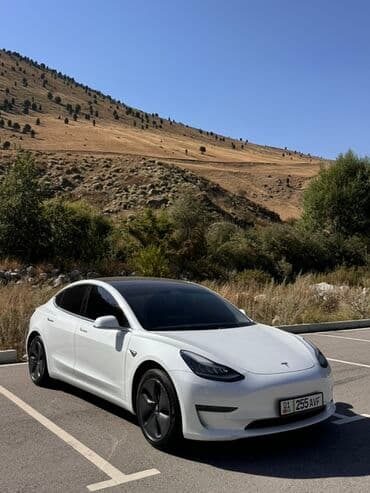электронные мотоцикл: Tesla Model 3: 2020 г., Электромобиль, Седан — 3