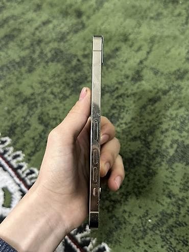 core i7: IPhone 13 Pro Max, Серебристый — 7
