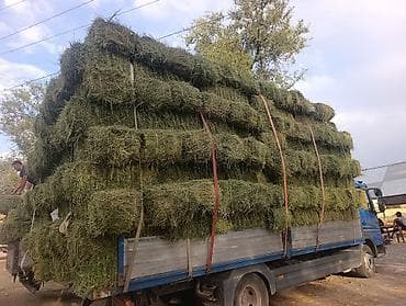 маленькие лошади: Сено в тюках Беде пресс плотный оор таза быйылкы 2орум 2 чабык 2 кос — 5