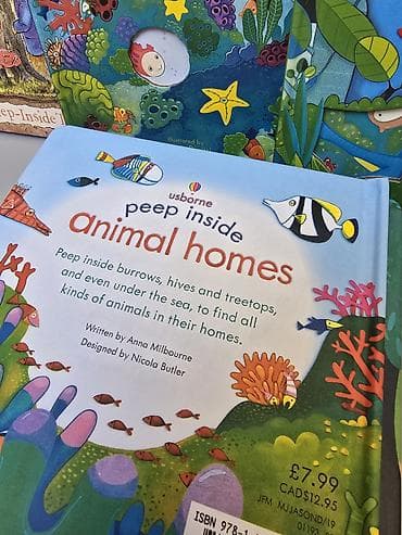 v beach: Серия познавательных книг Usborne «Peep inside» для детей. Состав на — 6