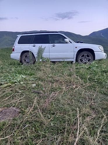 мото тур эндуро: Subaru Forester: 2001 г., 2 л, Автомат, Универсал — 4