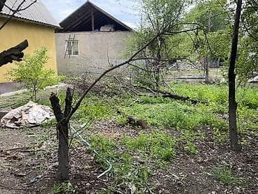 куры бройлеры: Дрова — 3