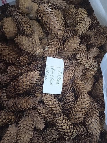 декоративные ящики: Декор для дома и сада — 7