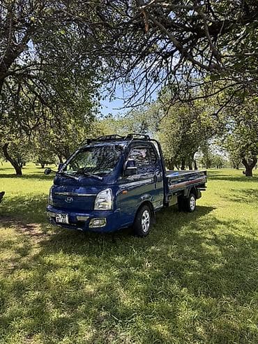 wuling mini ev: Легкий грузовик, Hyundai, Стандарт — 8