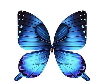 летние: Продаю бабочки летающие на пульте, отличный вариант для выступлений, и — 7