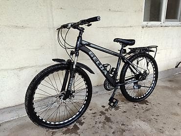 Музыкалык аспаптар: Тоо велосипеди, Geleda, Болот — 2