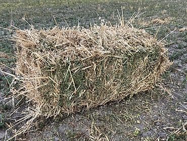 купить корм бройлерам: Тюки соломы/сена прямоугольной формы. - Состав: смесь злаковых — 3