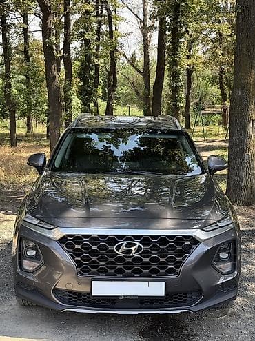 2025: Hyundai Santa Fe: 2019 г., 2 л, Автомат, Дизель, Кроссовер — 3