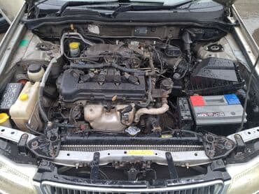 нексия 1995: Nissan Bluebird: 2002 г., 1.8 л, Автомат, Бензин, Седан — 7