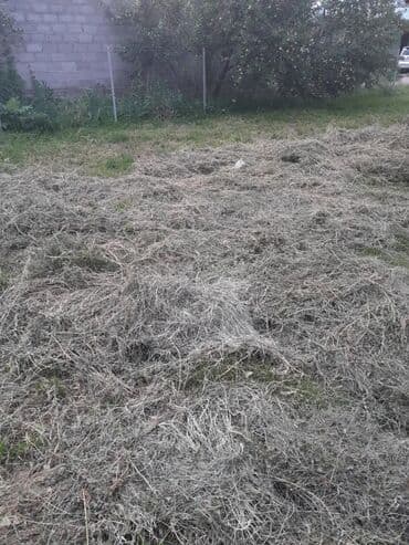 куплю двухъярусную кровать: Сено/скошенная трава с приусадебного участка. - Свежескошенная трава — 1