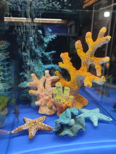 аквариумная рыбка: Новые украшения для оформления красивых аквариумов — 8