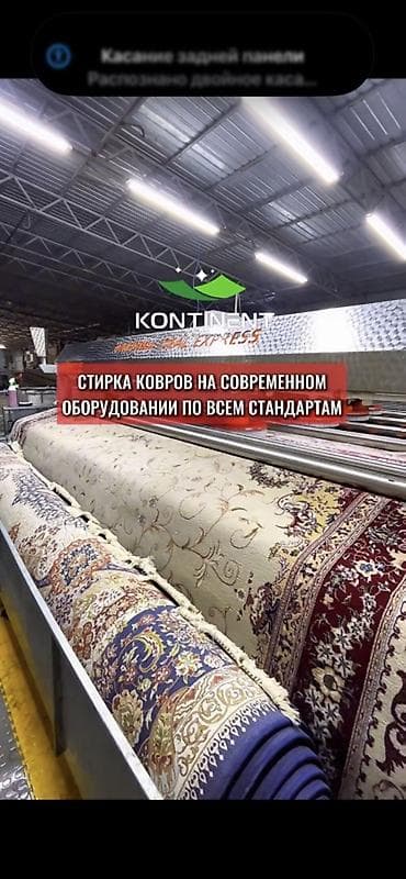 дезинфекция клопов: Стирка ковров, | Палас, Ковер, Бесплатная доставка — 10