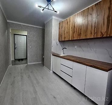 1 бөлмө, Риелтор, Чогуу жашоосу жок, Жарым -жартылай эмереги бар
