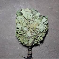 Веники дубовые оптом и в розницу